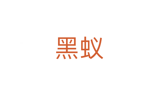 黑蚁
