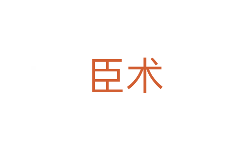 臣术