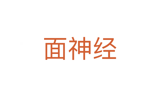 面神经