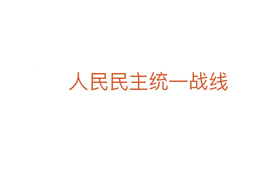 人民民主统一战线