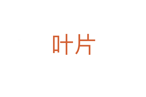 叶片