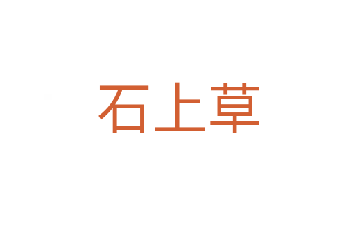 石上草