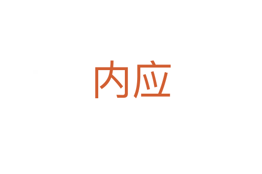 内应