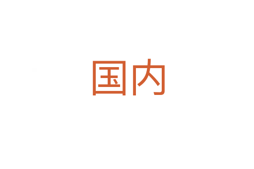 国内