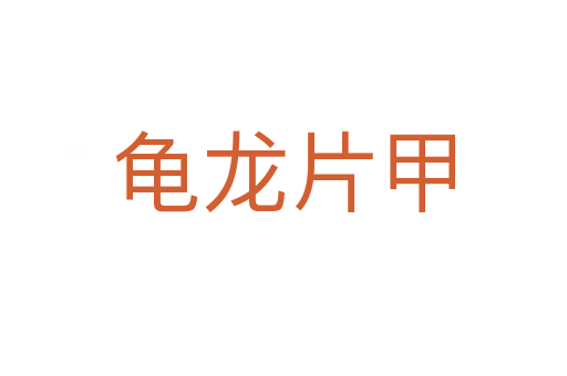 龟龙片甲