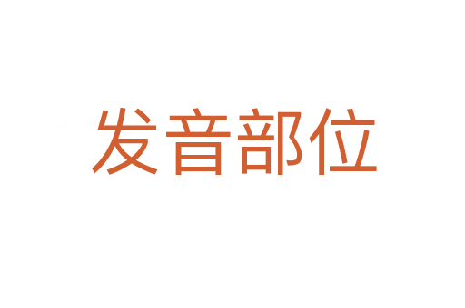 发音部位