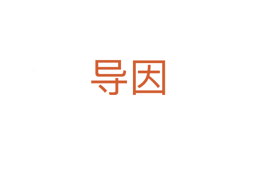 导因