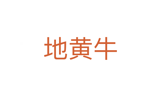 地黄牛