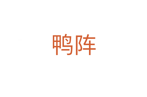 鸭阵