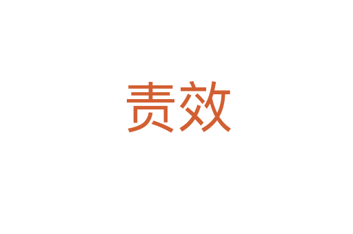 责效