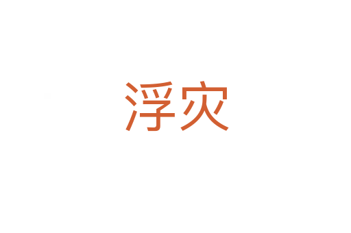 浮灾
