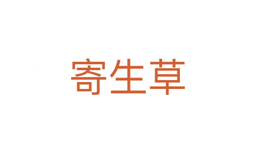寄生草