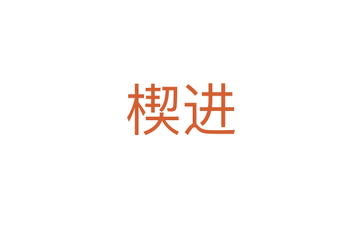 楔进