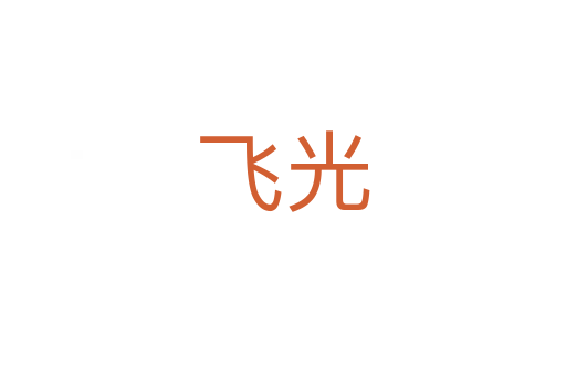 飞光