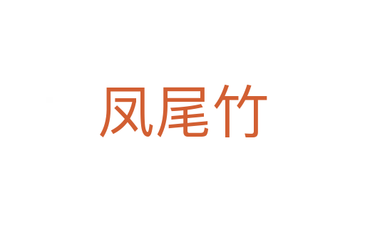 凤尾竹