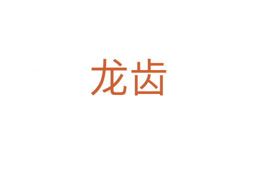 龙齿