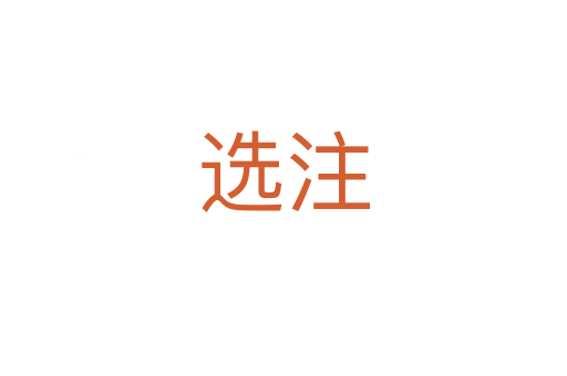 选注