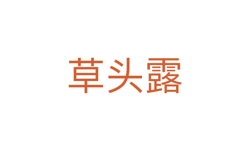 草头露