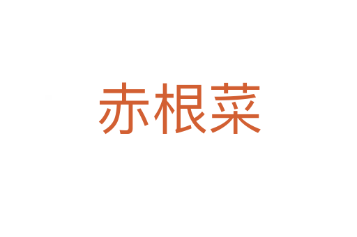 赤根菜