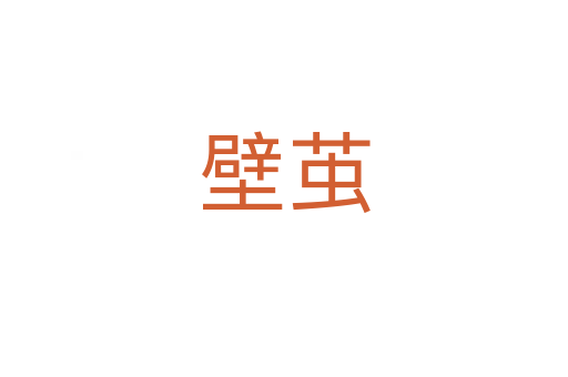 壁茧