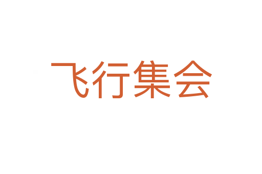 飞行集会