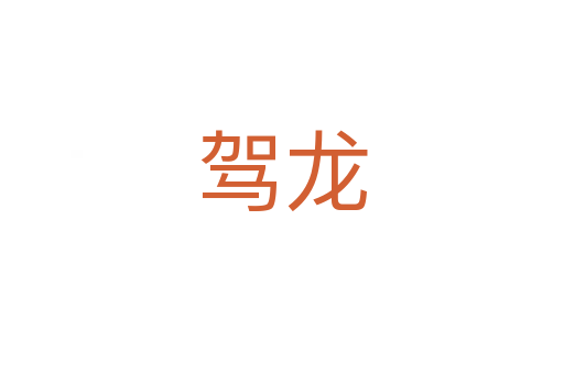 驾龙