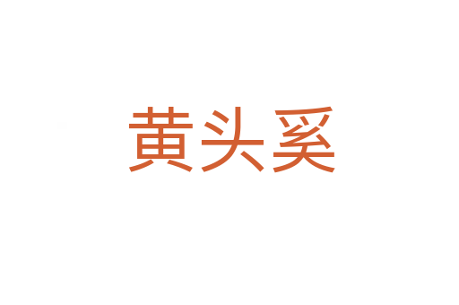 黄头奚