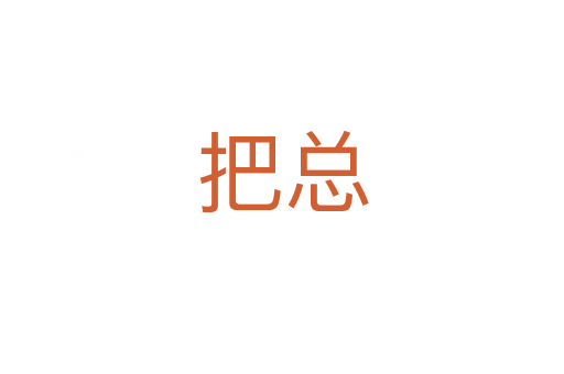 把总