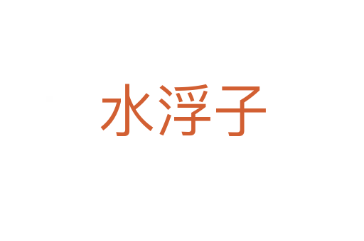 水浮子