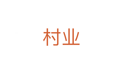 村业