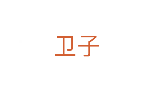 卫子