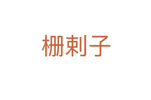 栅剌子