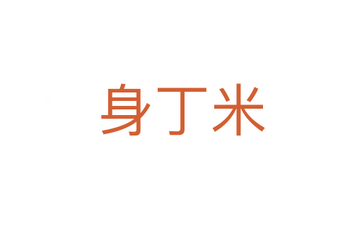 身丁米