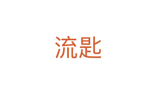 流匙