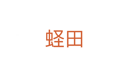 蛏田