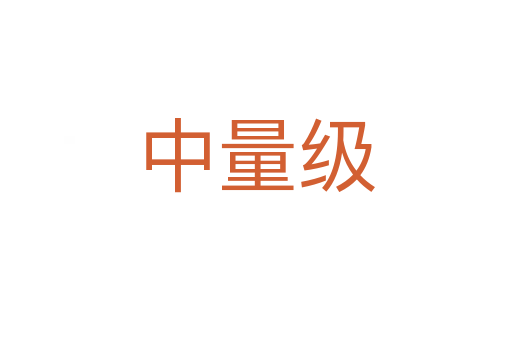中量级