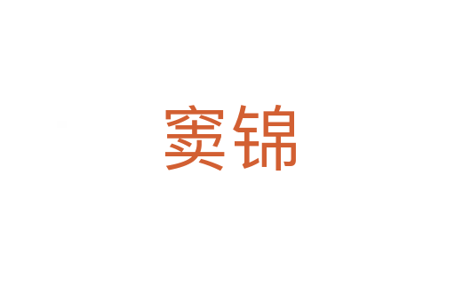 窦锦