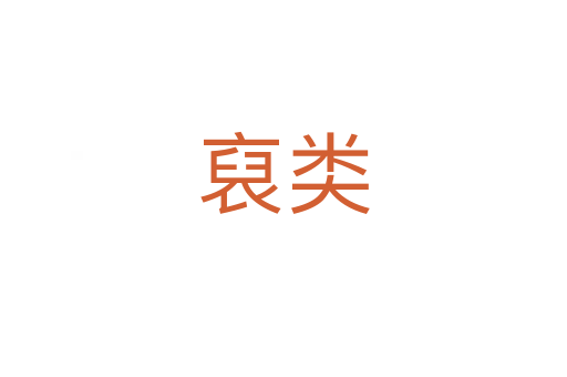 裒类