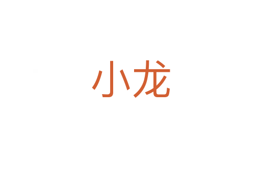 小龙
