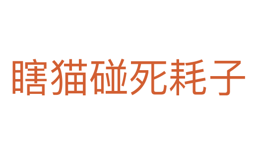 瞎猫碰死耗子