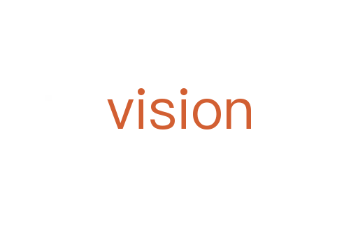 vision