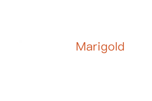 Marigold