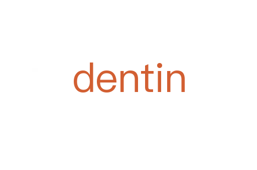 dentin