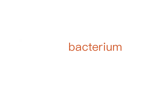 bacterium