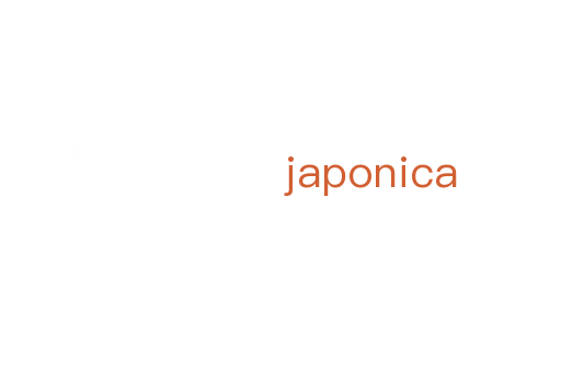 japonica