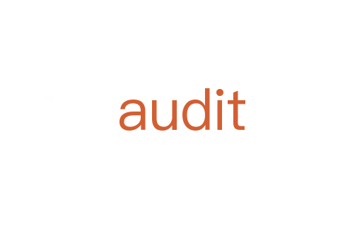audit