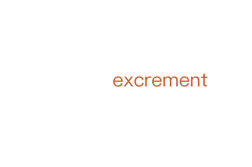 excrement
