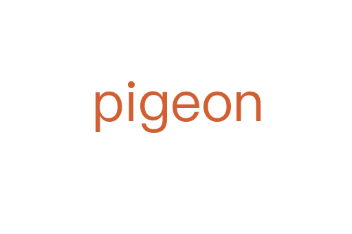 pigeon