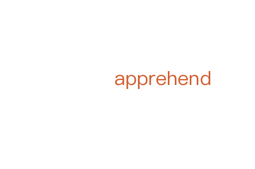 apprehend