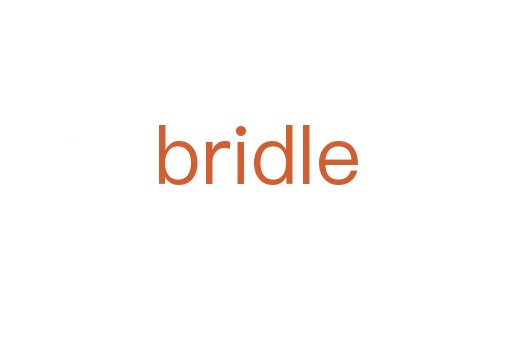 bridle